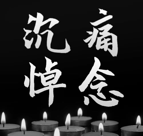 沉痛悼念